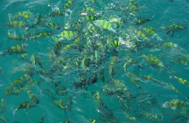 查看照片详细信息 天下民宿