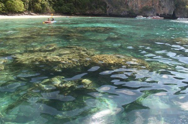 查看照片详细信息 天下民宿