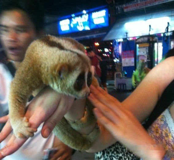 查看照片详细信息 天下民宿