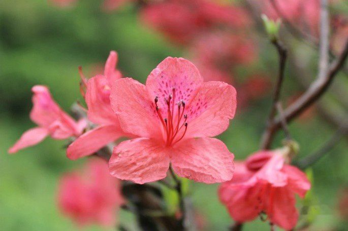 查看照片详细信息 天下民宿