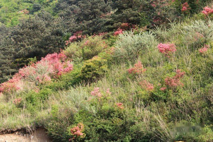 查看照片详细信息 天下民宿