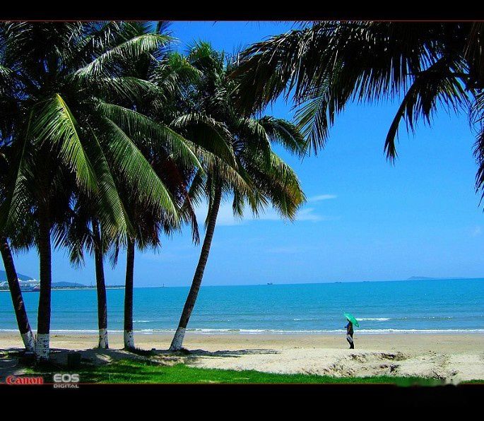 查看照片详细信息 天下民宿