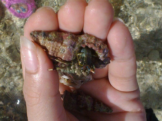 查看照片详细信息 天下民宿