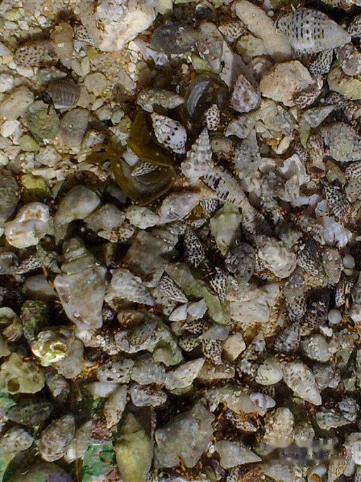 查看照片详细信息 天下民宿