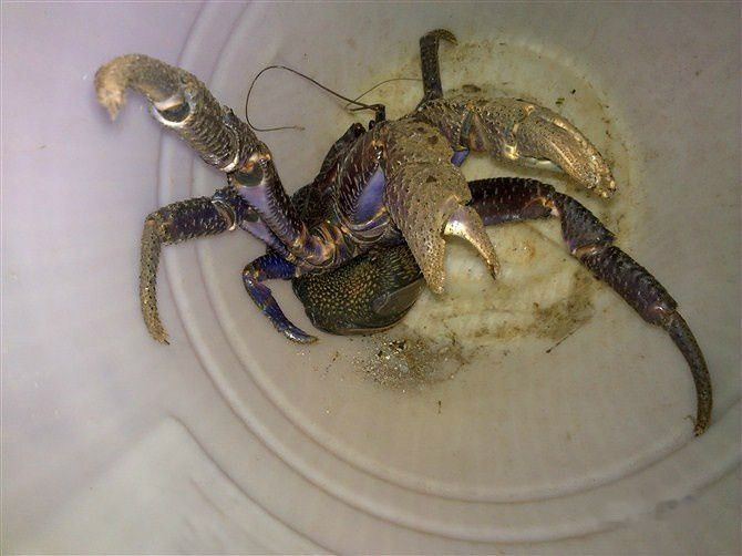 查看照片详细信息 天下民宿