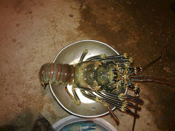 查看照片详细信息 天下民宿