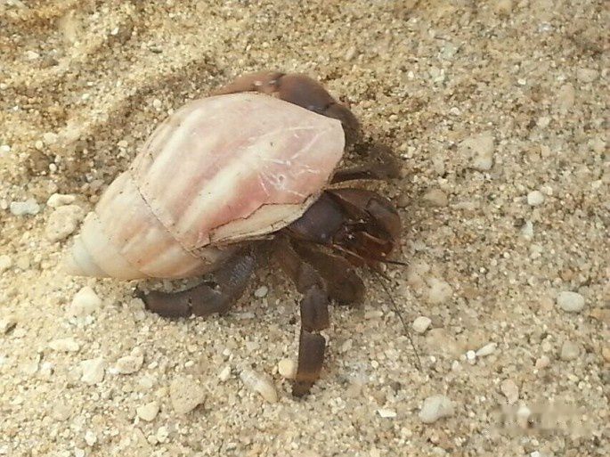 查看照片详细信息 天下民宿