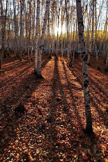 查看照片详细信息 天下民宿