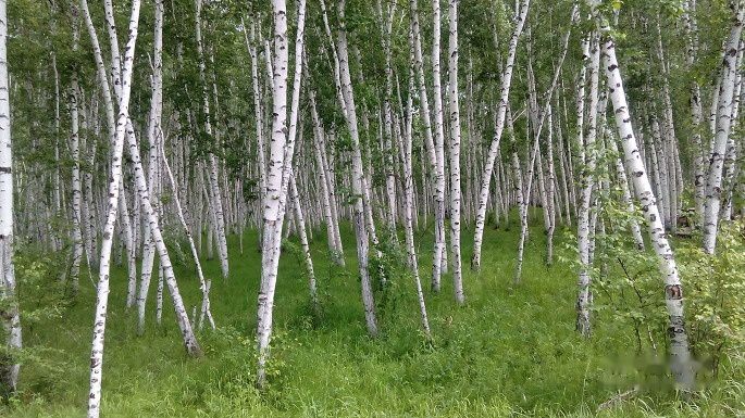 查看照片详细信息 天下民宿
