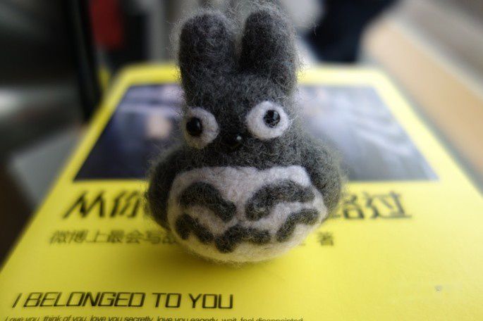 查看照片详细信息 天下民宿