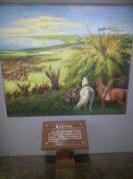 查看照片详细信息 天下民宿