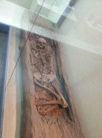 查看照片详细信息 天下民宿