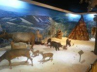 查看照片详细信息 天下民宿