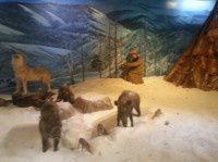 查看照片详细信息 天下民宿