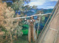 查看照片详细信息 天下民宿