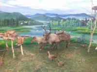 查看照片详细信息 天下民宿