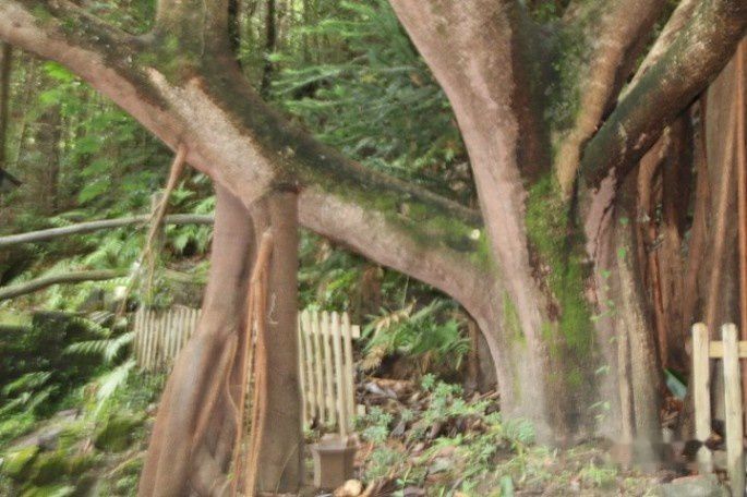 查看照片详细信息 天下民宿