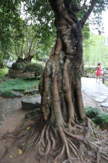 查看照片详细信息 天下民宿