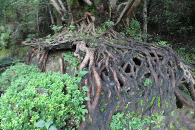 查看照片详细信息 天下民宿