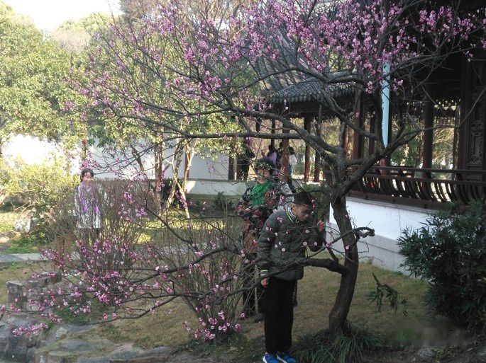 查看照片详细信息 天下民宿