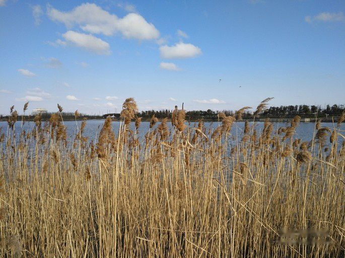 查看照片详细信息 天下民宿