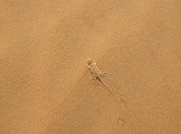 查看照片详细信息 天下民宿