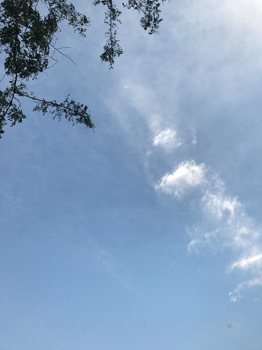 查看照片详细信息 天下民宿