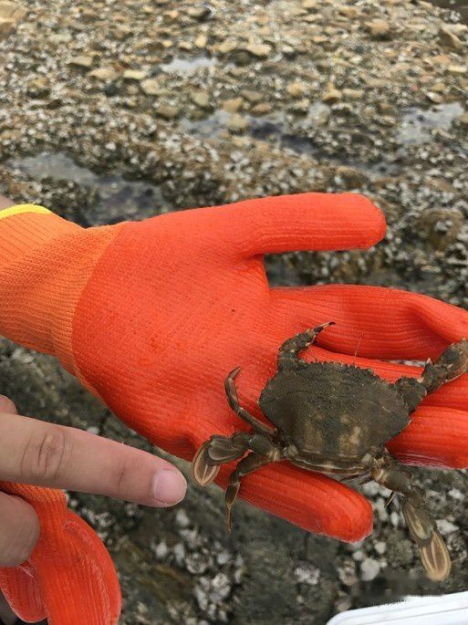 查看照片详细信息 天下民宿