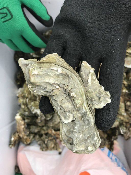 查看照片详细信息 天下民宿