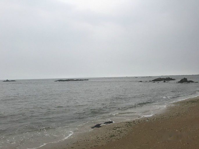 查看照片详细信息 天下民宿