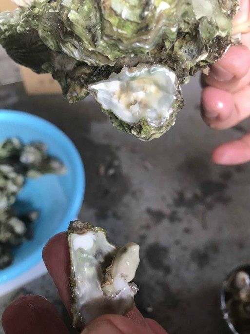 查看照片详细信息 天下民宿