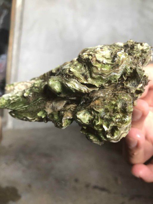 查看照片详细信息 天下民宿