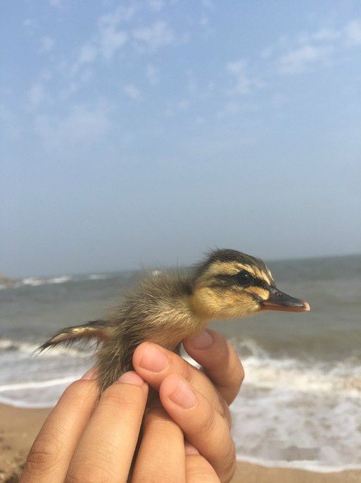 查看照片详细信息 天下民宿