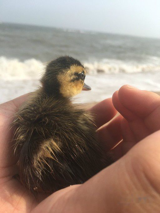 查看照片详细信息 天下民宿