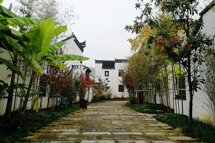 查看照片详细信息 天下民宿