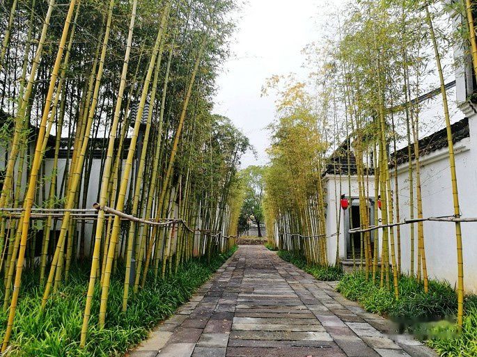 查看照片详细信息 天下民宿