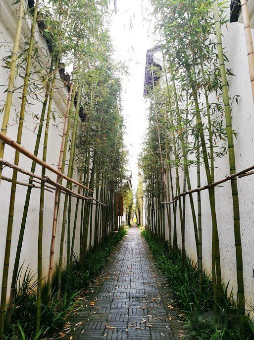 查看照片详细信息 天下民宿