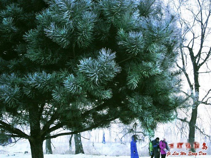 查看照片详细信息 天下民宿