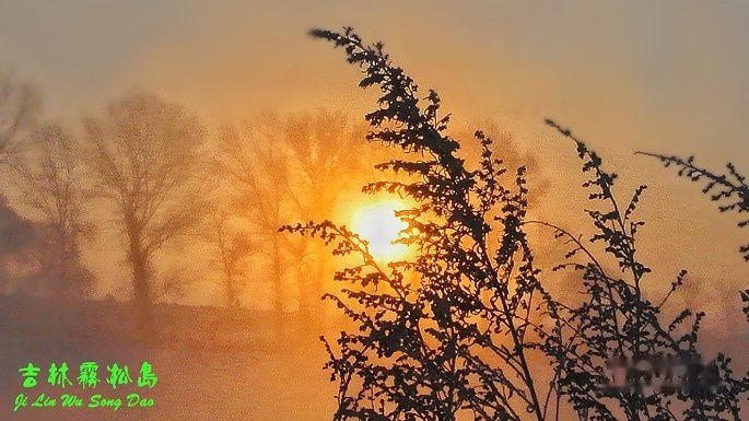 查看照片详细信息 天下民宿