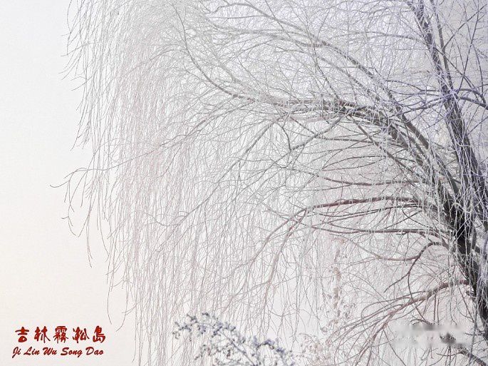 查看照片详细信息 天下民宿