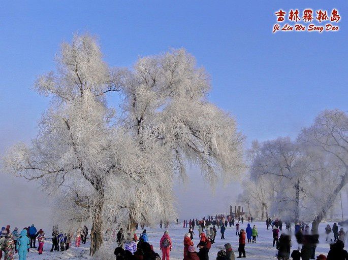 查看照片详细信息 天下民宿