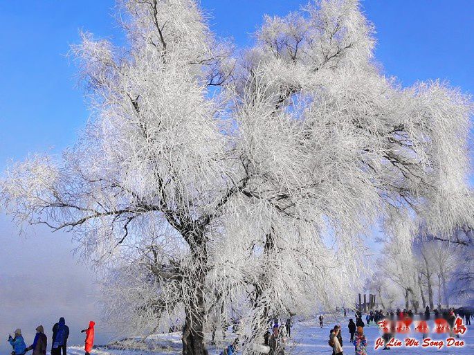查看照片详细信息 天下民宿