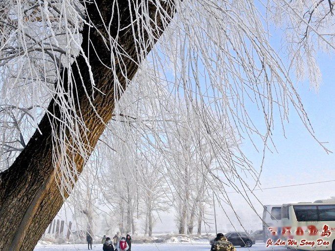查看照片详细信息 天下民宿