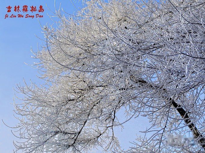 查看照片详细信息 天下民宿