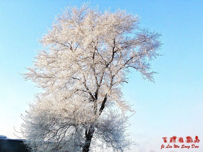 查看照片详细信息 天下民宿