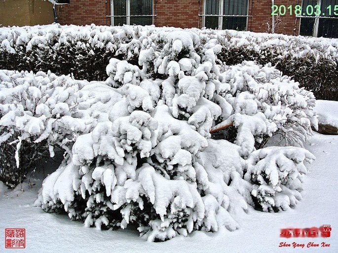 查看照片详细信息 天下民宿