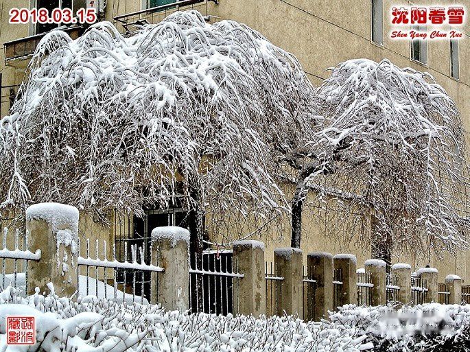 查看照片详细信息 天下民宿