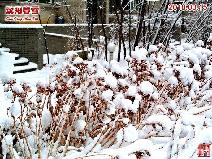 查看照片详细信息 天下民宿