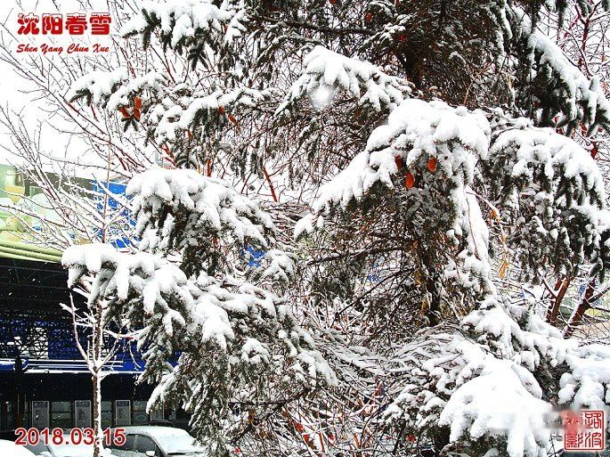 查看照片详细信息 天下民宿