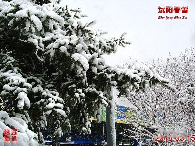 查看照片详细信息 天下民宿